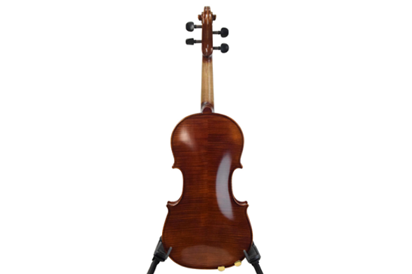 P. Mathias AAA Violin Outfit - rear view