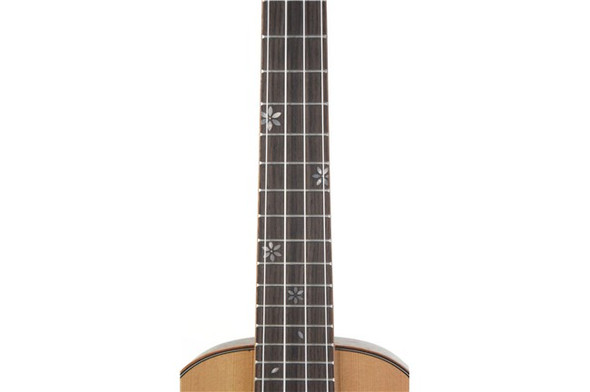 Ohana Concert Ukulele - Solid Cedar Satin Top