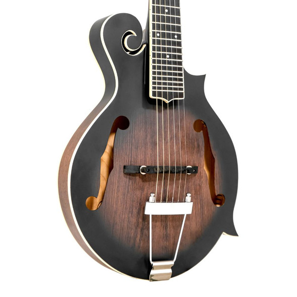 Gold Tone F-6 F-Style Mando-Guitar with Pickup