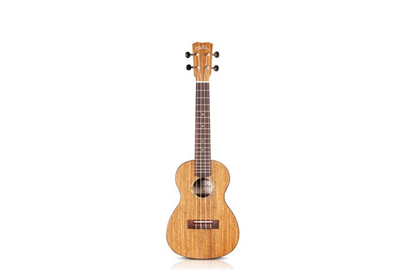 Cordoba UP100 Concert Ukulele Pack