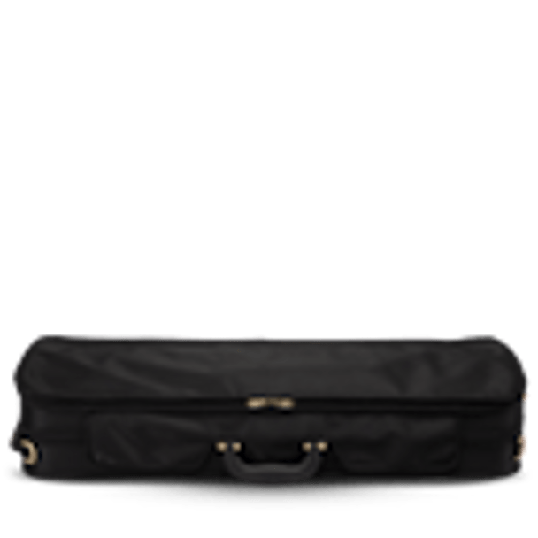 Eastman Nylon-Sided Viola Case - closed