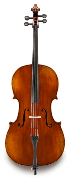 Eastman Ivan Dunov VC401S Cello - front view