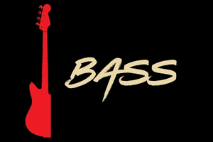 This button brings you to all bass guitars at Heid Music