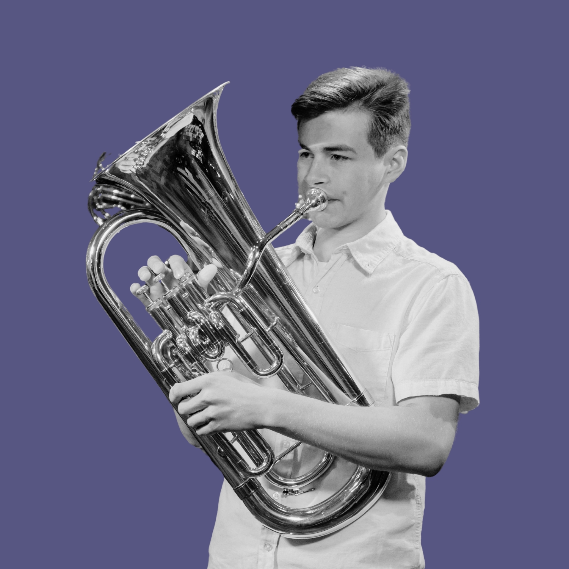 We have intermediate and professional low brass at Heid Music.  Click here!