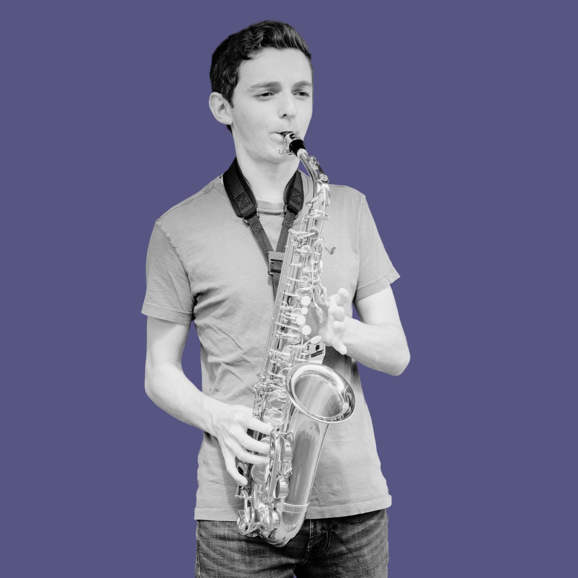 We have intermediate and professional saxophones at Heid Music.  Click here!