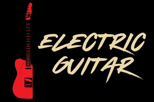 This button goes to all electric guitars at Heid Music