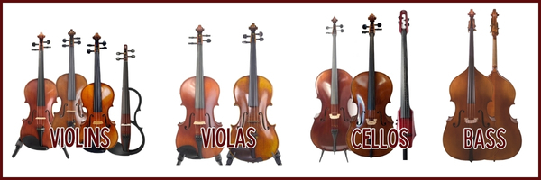 Check out our selection of fine orchestral instruments!
