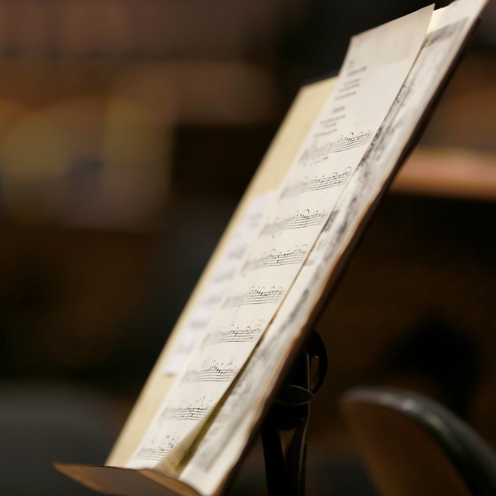 Support the Fox Valley Symphony Orchestra!