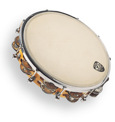 CP391-__05639.1727207154.386.