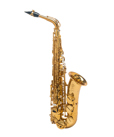 Saxophone for sale takealot shop