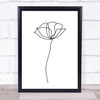 Black & White Line Art Poppy Flower Decorative Wall Art Print