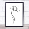 Black & White Line Art Pretty Tulip Decorative Wall Art Print