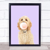 Cockapoo Colour Dog Purple Peach Gum Wall Art Print