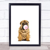 Dog Shar-Pei Bubblegum Wall Art Print