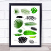 Jungle Leaves Various Wall Art Print