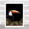 Toucan Gold Flowers Wall Art Print