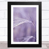 Ear Of Wheat Lilac Purple Design 2 Wall Art Print
