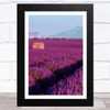 Lavender Fields Collection Design 4 Home Wall Art Print