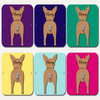 Miniature Pinscher Dog Lead Holder Leash Hook Any Colour Personalised Gift