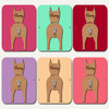 German Pinscher Dog Lead Holder Leash Hanger Hook Any Colour Personalised Gift