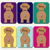 Labrador Dog Lead Holder Leash Hanger Hook Any Colour Personalised Gift