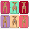 Whippet Dog Lead Holder Leash Hanger Hook Any Colour Personalised Gift