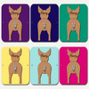 Kelpie Dog Lead Holder Leash Hanger Hook Any Colour Personalised Gift