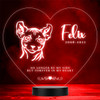 Cat Pet Loss Memorial Forever In My Sphynx Personalised Gift Colour Night Light