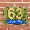 Peacock Bird Feathers Spread 3D Acrylic House Address Sign Door Number Plaque