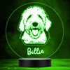 Old English Sheepdog Dog Pet Multicolour Personalised Gift LED Lamp Night Light