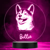 Shiba Inu Dog Pet Silhouette Multicolour Personalised Gift LED Lamp Night Light