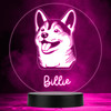 Shiba Inu Dog Pet Silhouette Multicolour Personalised Gift LED Lamp Night Light