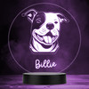 Staffordshire Bull Terrier Dog Pet Multicolour Personalised Gift LED Night Light