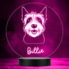 West Highland Terrier Dog Pet Multicolour Personalised Gift LED Lamp Night Light
