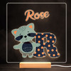 Animal Alphabet Letter R Colourful Square Personalised Gift LED Lamp Night Light