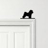 Door Topper Bichon Frise Dog Various Colours Top Of Door Frame Decorative Sign