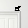 Door Topper Neapolitan Mastiff Dog Various Colours Top Of Door Decorative Sign