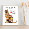 Photo Collage Pets Memorial Custom Gift For Anyone 8-Photo Cat Print Or Canvas