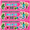 Personalised Party Banner For Kids Birthday Girls Minecraft Pink Any Age