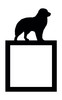 Light Switch Surround Australian Shepherd Dog Decorative Switch Cover Frame