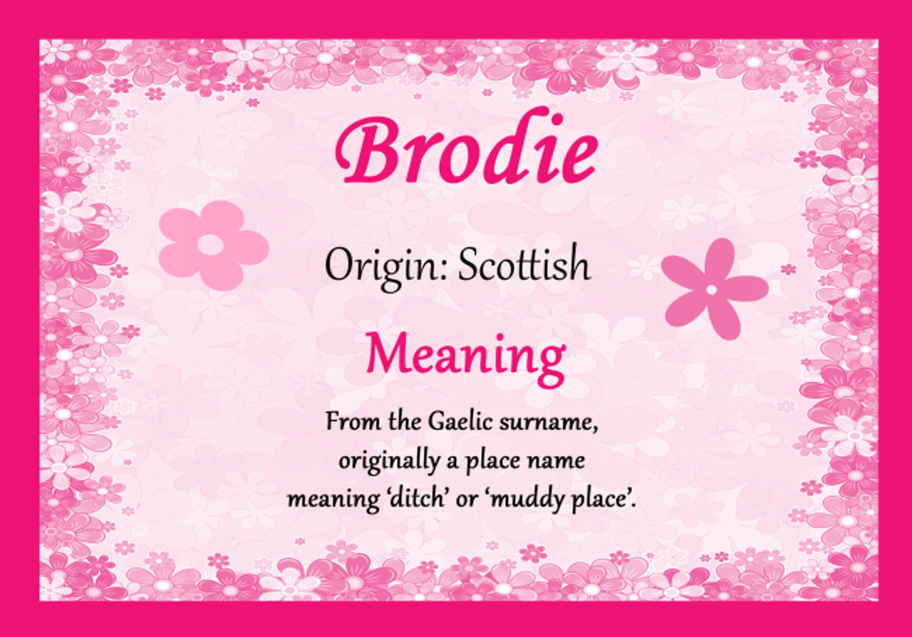 Brodie Personalised Name Meaning Certificate - Party Animal Print
