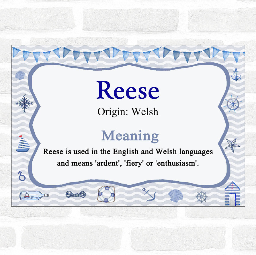 Reese Name Meaning Nautical Certificate Party Animal Print