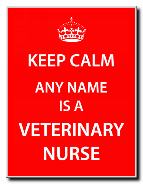 Veterinary Nurse Keep Calm Jumbo Magnet