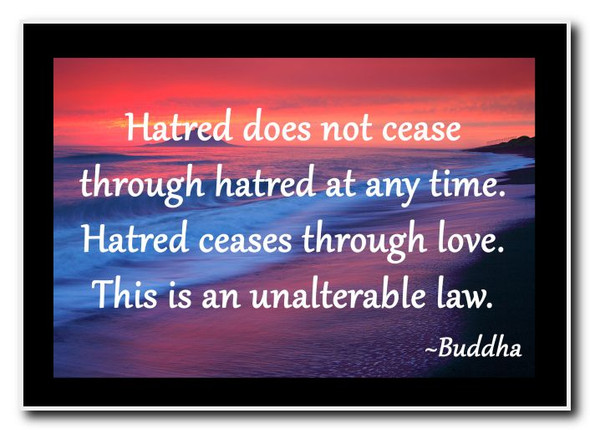 Inspirational & Motivational Quote Magnet - Quote 169