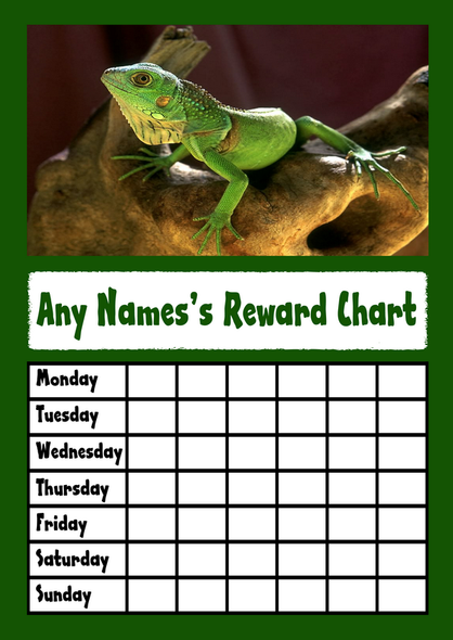 Green Lizard Star Sticker Reward Chart