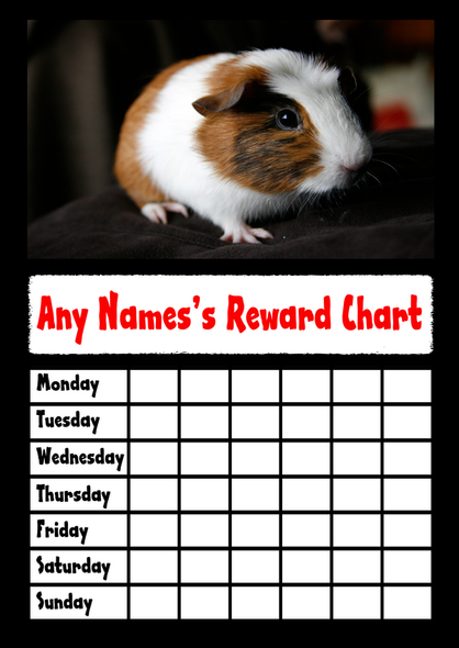 Guinea Pig Star Sticker Reward Chart