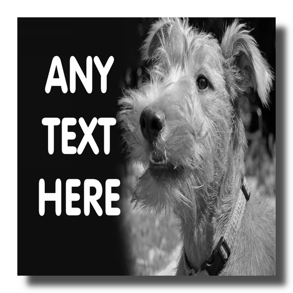 Irish Terrier Dog Coaster