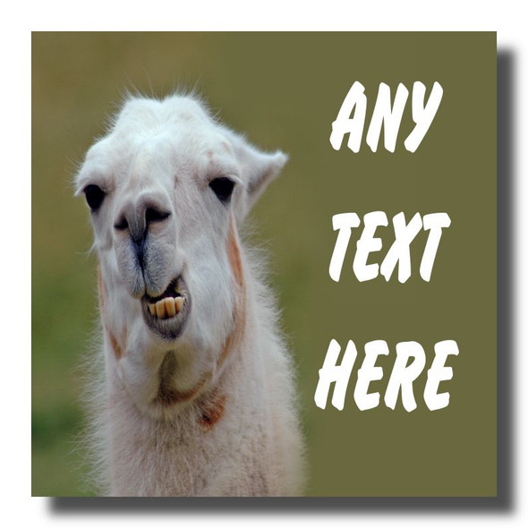 Funny Llama Coaster