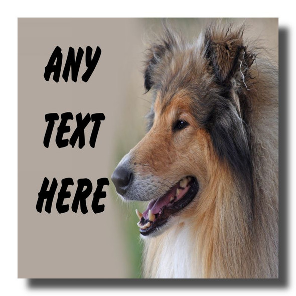 Rough Collie Dog Coaster