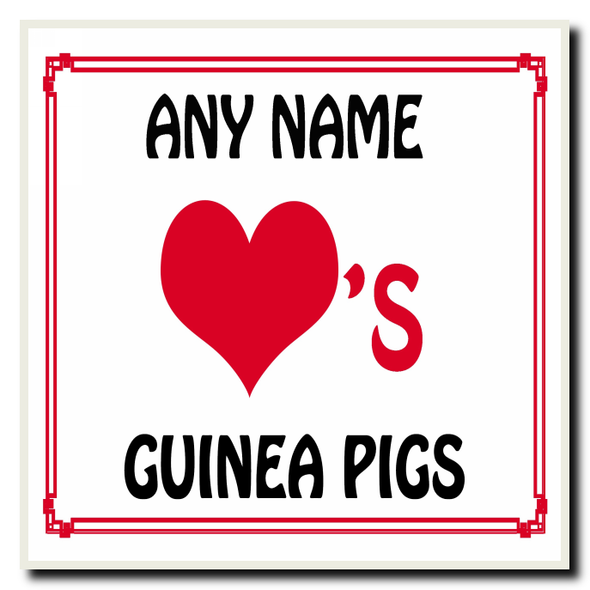 Love Heart Guinea Pigs Coaster